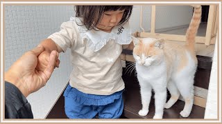 【感動】自分のことを猫だと思っている子供の行動がこちら