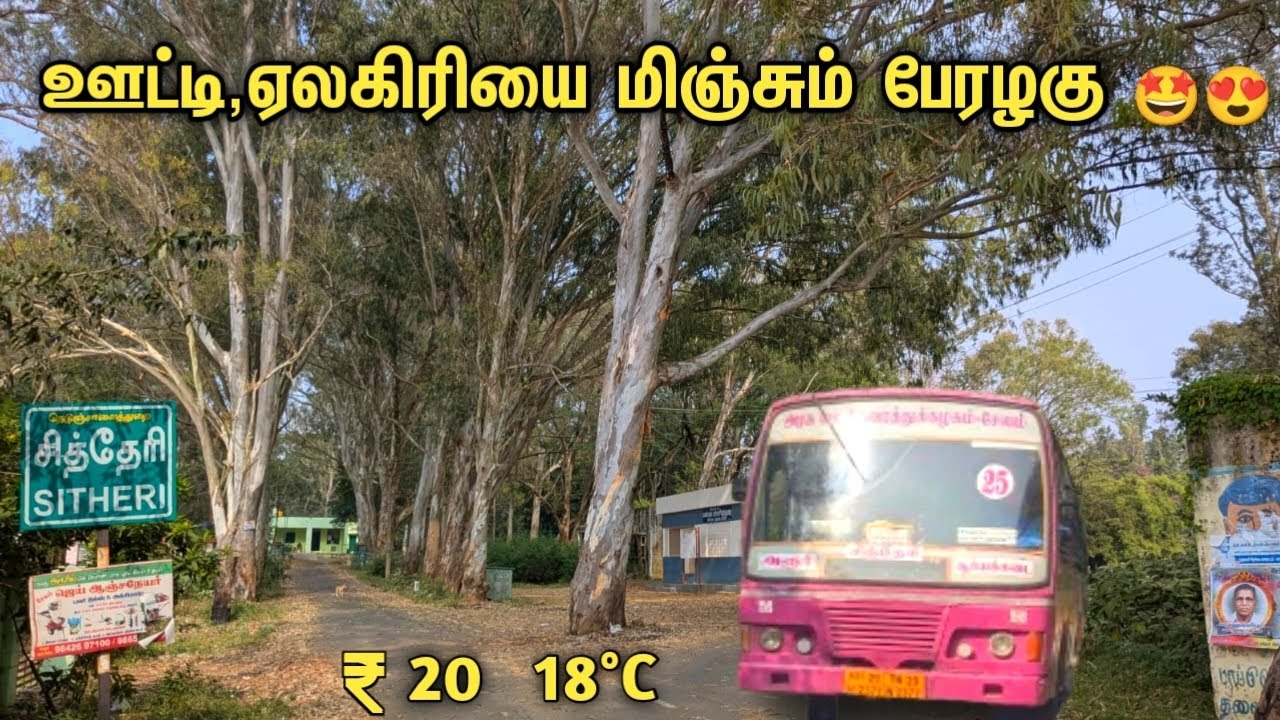 😍ஊட்டி ,ஏலகிரியை மிஞ்சும் பேரழகு 🤩
