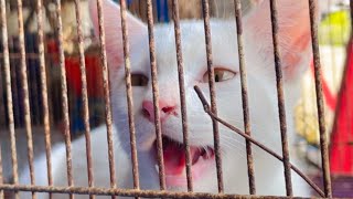 Story Wa Viral Lucu