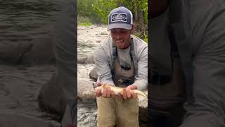Fly Fishing Idaho High Country For BULL TROUT!!! #shorts #fishing #explore #wow #outdoors #epic