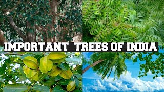 Important Trees Of India