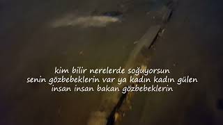 Meli̇h Cevdet Anday - Gi̇di̇şi̇ni̇ Anlatiyorum...