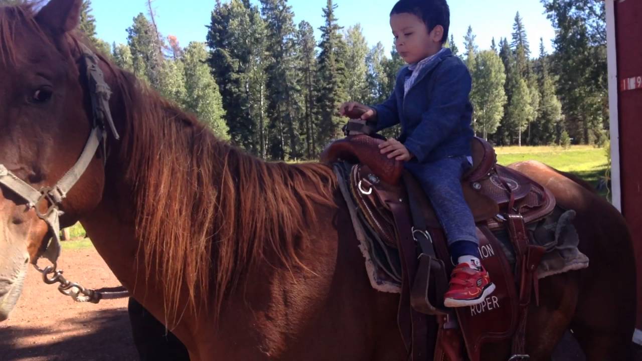 3 year old kid riding horse White mountains, Arizona YouTube