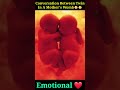Twin Embryo and Fetal Development In Mother's Womb! Twins Pregnancy! Fetus Growing 👶