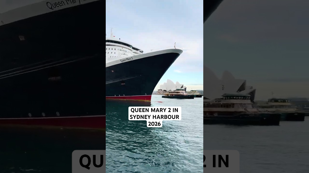 BEAUTIFUL CRUISE SHIP QUEEN MARY 2 IN SYDNEY HARBOUR | MARCH 2026 #sydney #australia #cruiseship