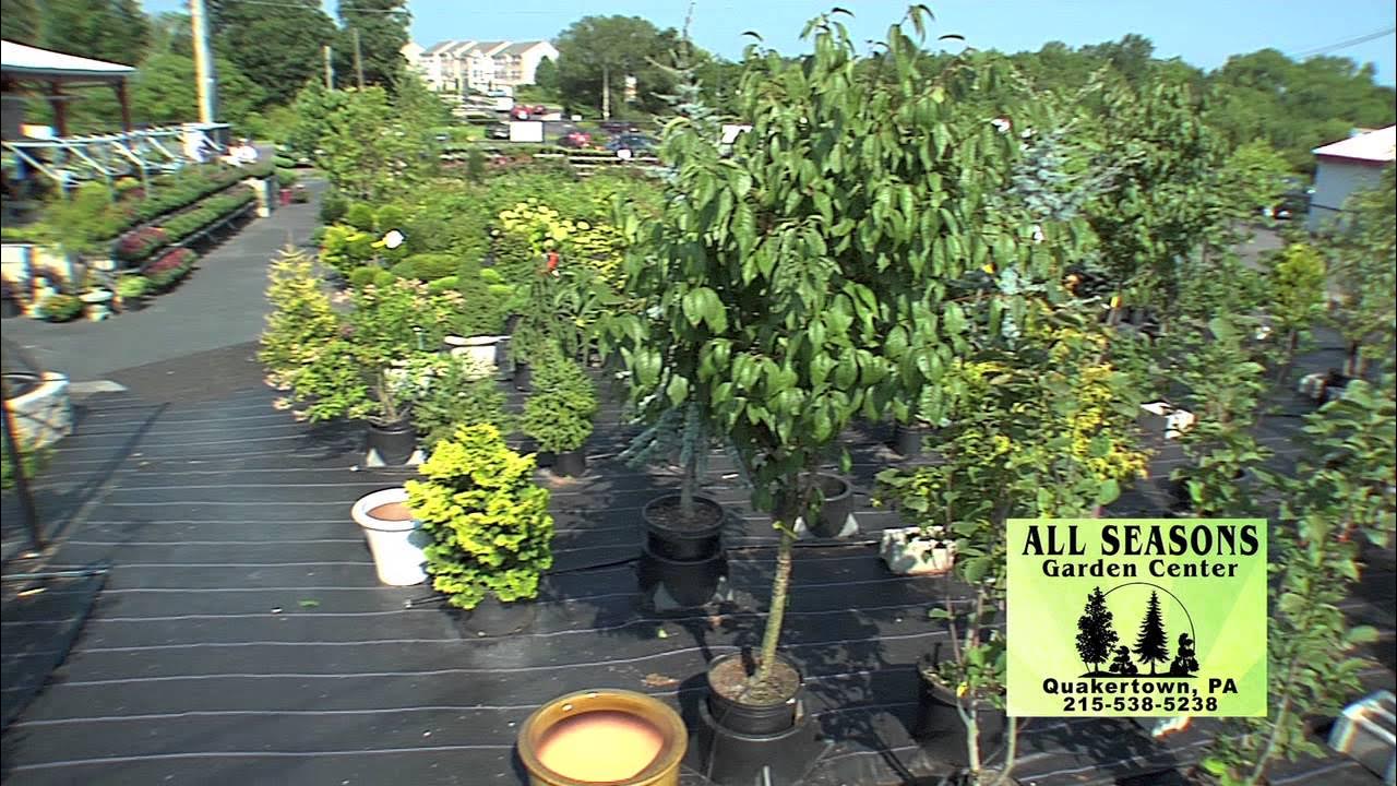 QUAKERTOWN FARMERS MARKET Garden Center YouTube