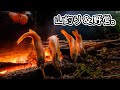 【一泊二日】山釣り、焚き火、そして野営を楽しむ！【源流釣り】
