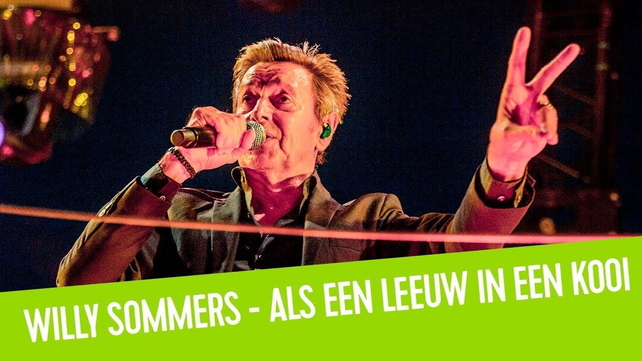 Als Een Leeuw In Een Kooi