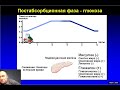 4 Метаболизм здорового человека