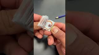 Bio mitosis flipbook