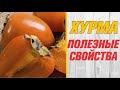 ПОЛЕЗНЫЕ СВОЙСТВА ХУРМЫ/ РЕЦЕПТЫ