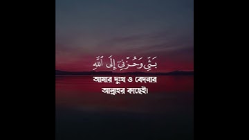 Surah Yusuf, Ayah 86 | সূরা ইউসুফ, আয়াত ৮৬ |  سورة يوسف | Quraan Bangla