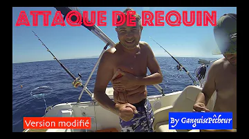 Est-ce qu'il y a des requins dans l'Atlantique ?