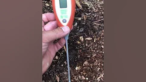 PH garden Soil and lawn test using the rapid test ph probe