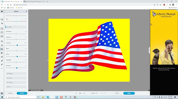 How To Remove A Background In Vinyl Master Without Effecting Your Image Colors..