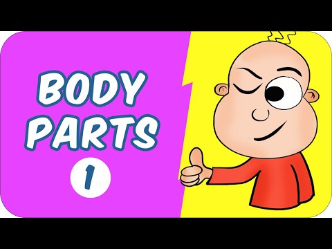Body Parts -1