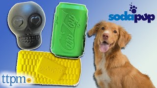 Puppy Reviews Treat Dispenser Chew Toys for Dogs from SodaPup!