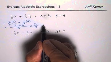 How to Evaluate Algebraic Expressions with Fractions
