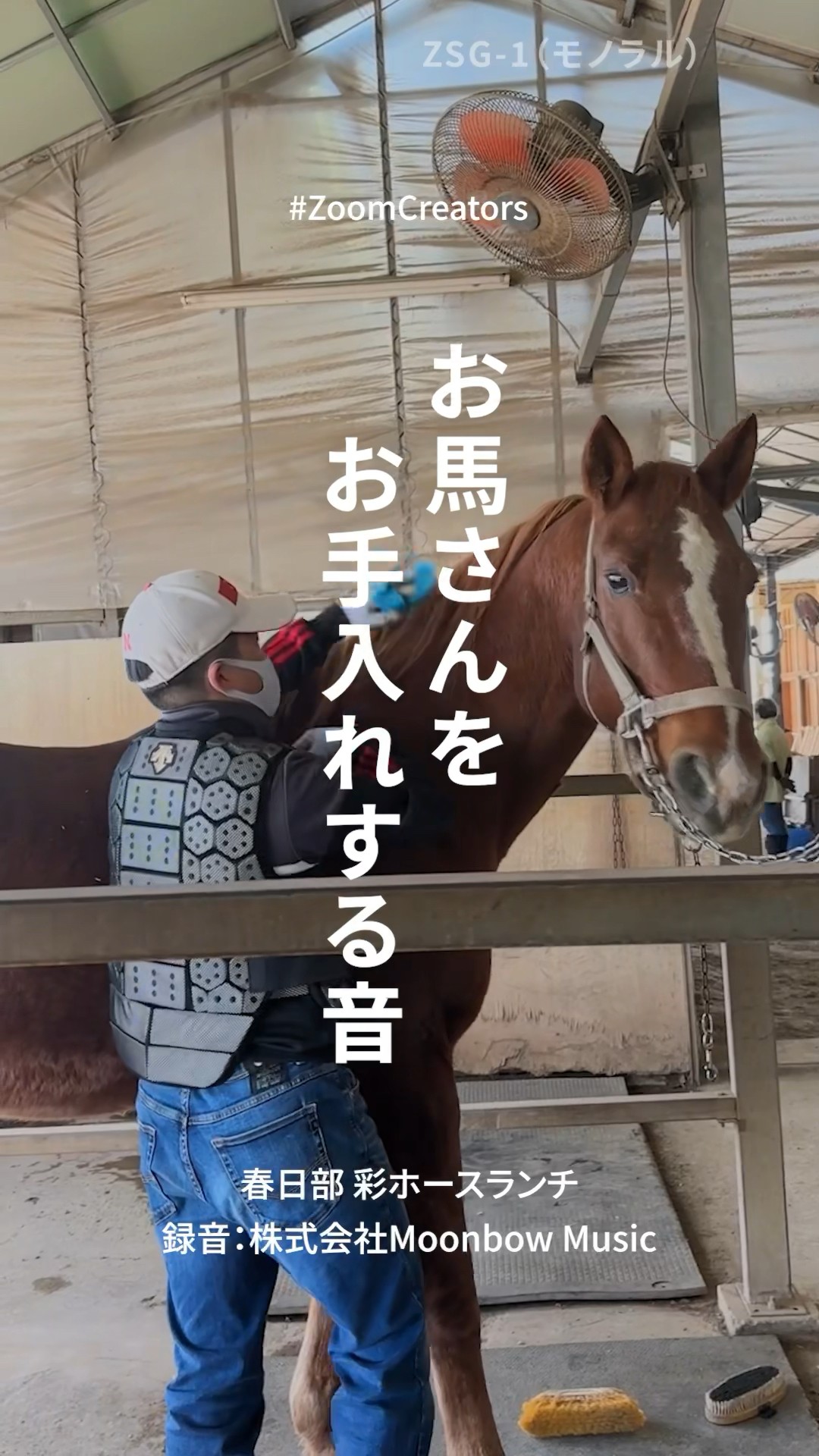 お馬さんをお手入れする音】ZSG-1 #動画製作 #録音 #馬 #動物動画