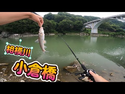 釣り人達(相模川) cafe-labさんの2025年09月06日(土)の釣行(神奈川県 - 相模川下流