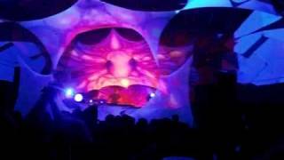solstice 2010 ruigoord goafestival