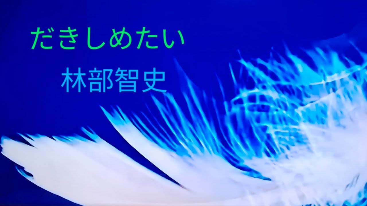 #だきしめたい   #林部智史 --愛の儚さが胸に沁みる歌声  #musicvideo  #歌詞動画