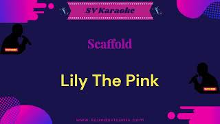 Scaffold - Lily The Pink - Karaoke