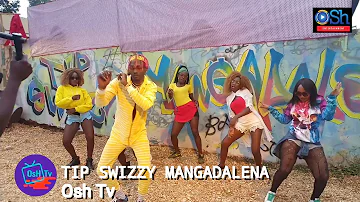 Tip Swizzy Mangadalena new video