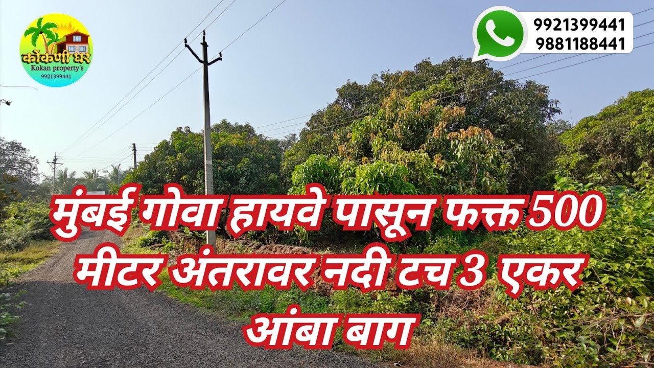 मुंबई गोवा हायवे पासून जवळच नदी किनारी 3 एकर आंबा बाग विकणे आहे! व्यावसायिक दृष्ट्या अतिशय उपयुक्त!