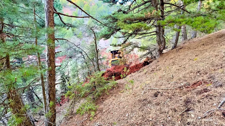 How Caterpillar D7 Bulldozer Clears a New Path on Steep Terrain #caterpillar #bulldozer #tractor