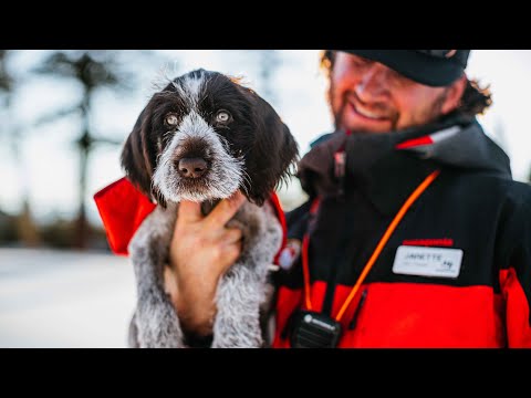 Meet Remington