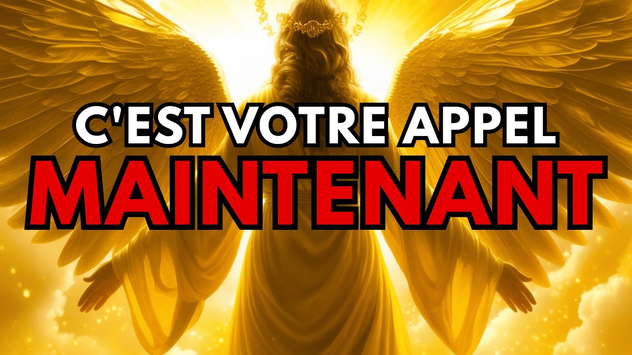 Élus : ✨Dieu dit que ceci est votre seule mission à partir de maintenant