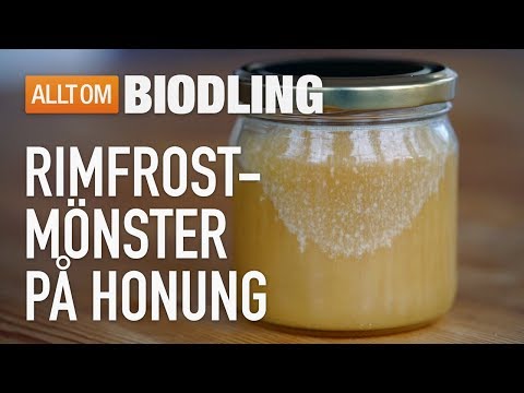 Video: Honung Och Koppar