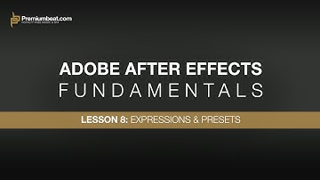 Adobe After Effects Fundamentals 8: Advanced Expressions & Presets