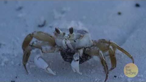 VIC3001 Module 3 Activity Still Slideshow