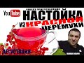 Домашняя Настойка Из Красной Черёмухи! Быстрый И Простой Рецепт Приготовления! Дегустация!