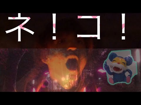 【with茂木】ネ！コ！ でヲタ芸【🐈】