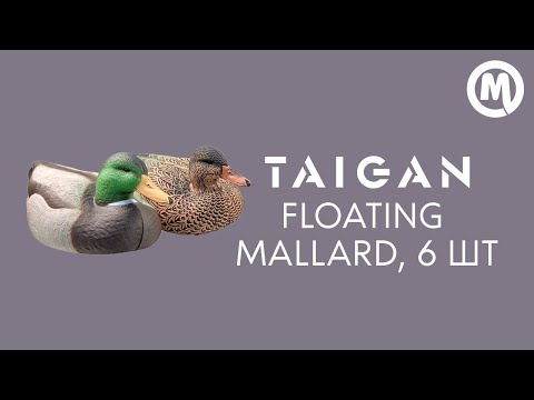 Подсадная утка Taigan
