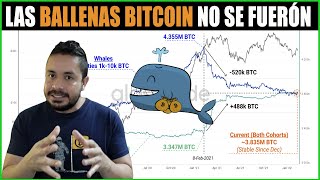 💥COMPRAS INSTITUCIONALES de BITCOIN DARAN 3cer MAXIMO en PRECIO del CICLO💥