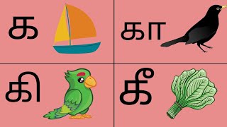 க வரிசை சொற்கள் - க கா கி கீ. தமிழ் எழுத்துக்கள்.Tamil Eluthukkal