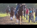 Kentucky Derby 141: Ep. 6 - Top Ranked Horses 60 Days from Derby