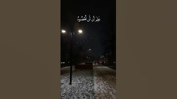 قران تلاوه القارئ | عبدالرحمن مسعد 🍭🤍