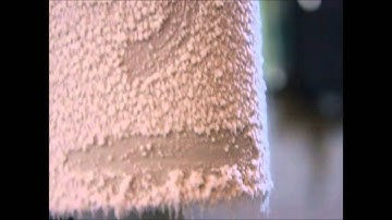 Closed Looop Dewaxed Nug Run!!