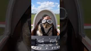 Squirrel Becomes a Pilot for a Day!