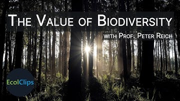 The Value of Biodiversity with Prof. Peter Reich | EcolClips