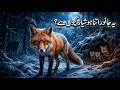 Foxes Raise Their Young in the Most Dangerous Environments