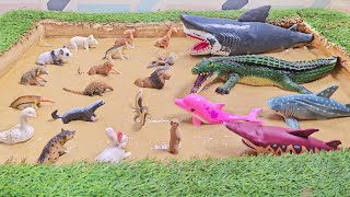 Biggest Sea Creatures Vs. Smallest Safari and Zoo Animals Epic Adventure screenshot 3