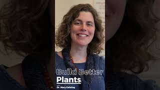 How Can Plants Live without Bees