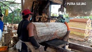 Spesial durasi (kumpulan video kayu besar)