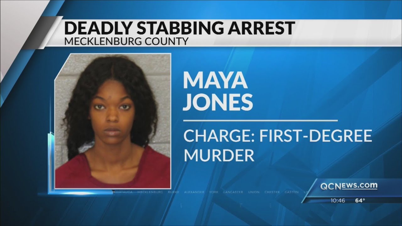Pregnant woman accused of stabbing boyfriend to death in SE Charlotte ...